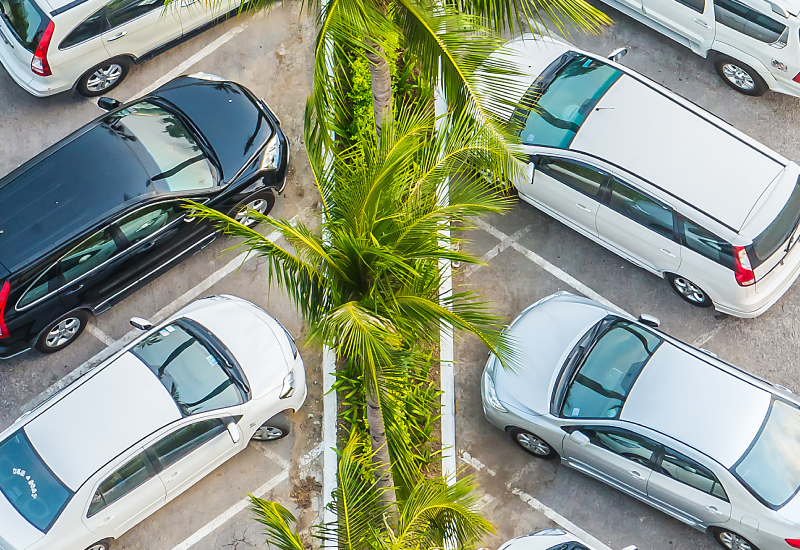 A fleet of vehicles parked diagonally in a parking lot; a row of trees and bushes between them.