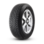 Dunlop Grandtrek AT25 255/65R17 110 H